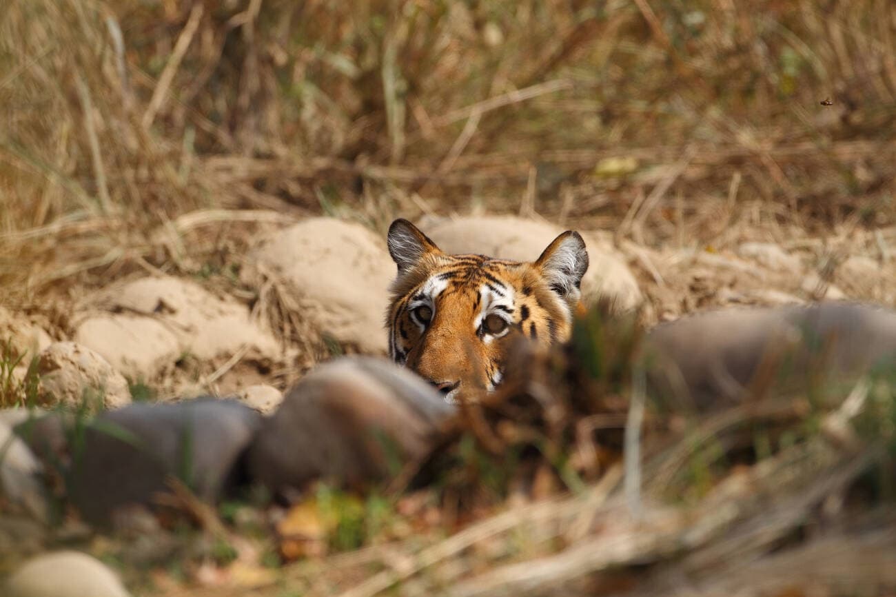 Uttarakhand — photo 1