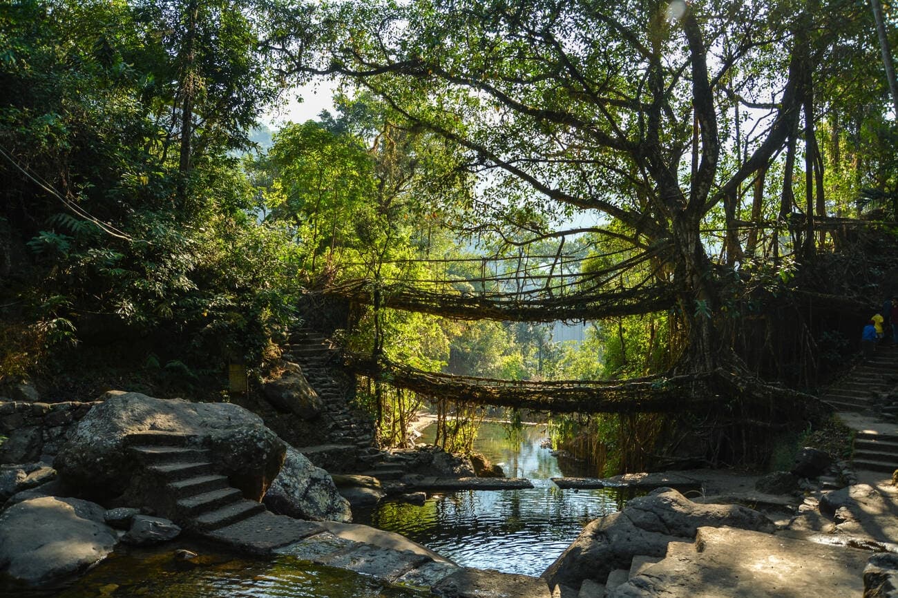 Meghalaya