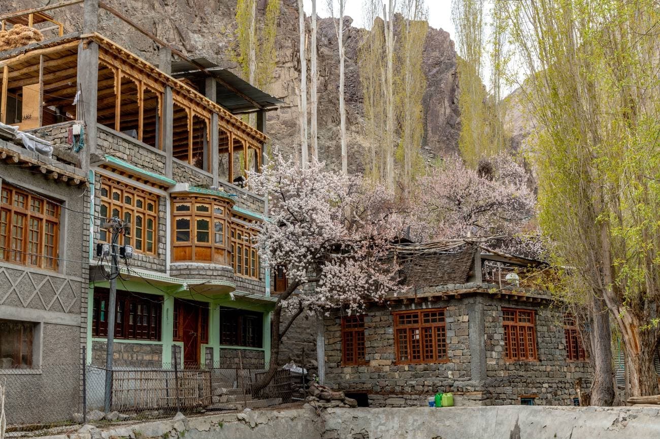 Ladakh Apricot Blossom Festival Trip | Aryan Valley & Turtuk 8D — photo 1